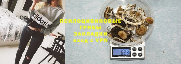 твердый Вяземский