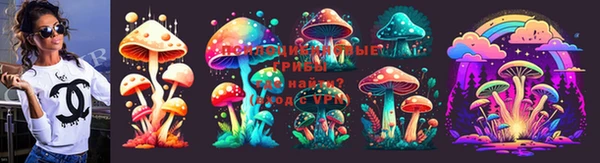гидропоника Вязьма