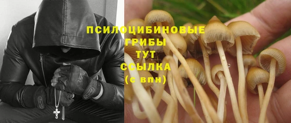 прущие крисы Вязники