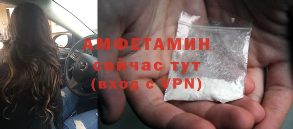 твердый Вяземский