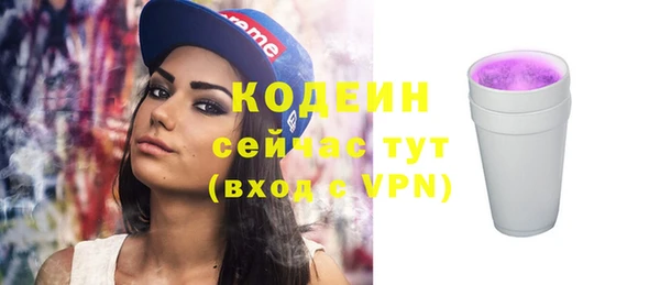 твердый Вяземский