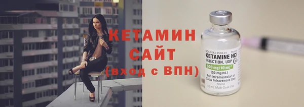 твердый Вяземский