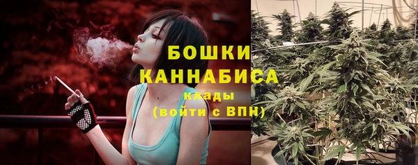 твердый Вяземский