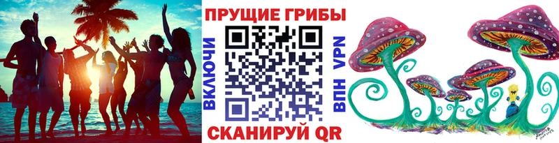 Галлюциногенные грибы GOLDEN TEACHER  дарнет шоп  Чишмы 